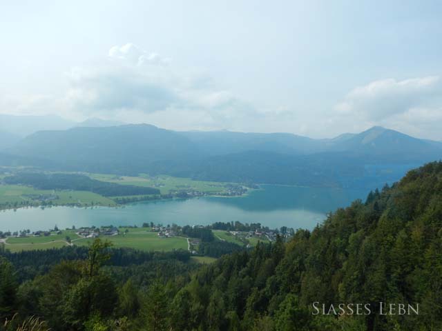 e0088895_3133599.jpg