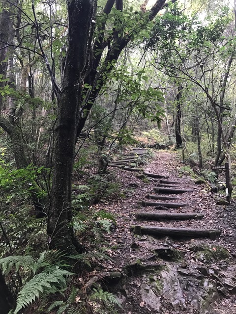 摂津峡_f0204295_21050529.jpg