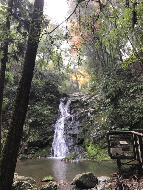 摂津峡_f0204295_21095814.jpg