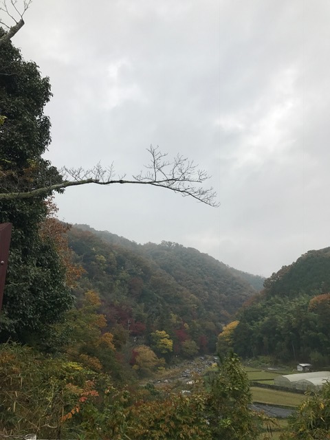摂津峡_f0204295_21130909.jpg