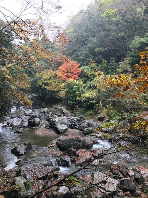 摂津峡_f0204295_21164227.jpg