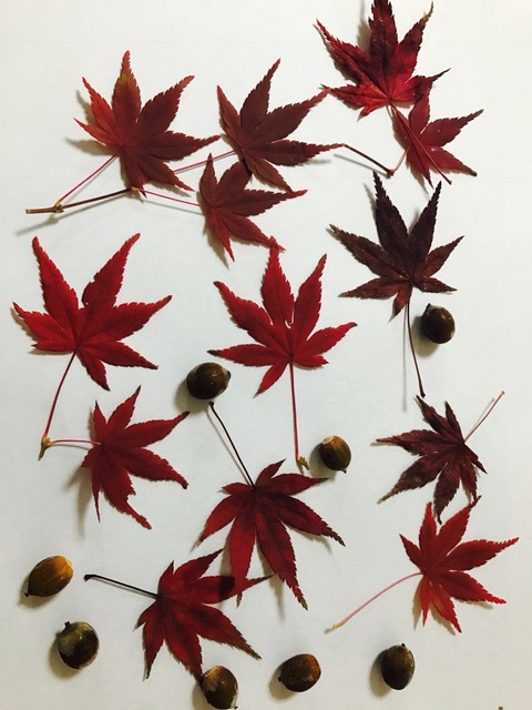 摂津峡_f0204295_21223544.jpg