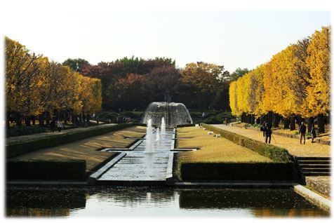 f0137096_19274210.jpg
