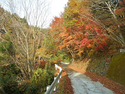 f0308898_17181324.jpg