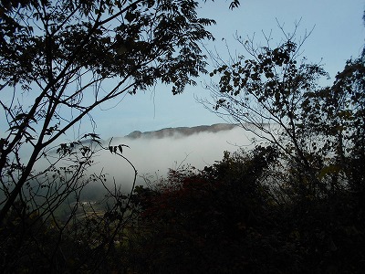 f0308898_17183151.jpg