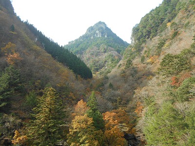 f0308898_17213923.jpg
