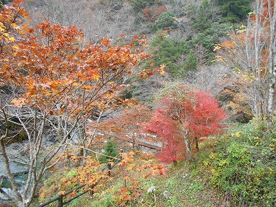 f0308898_17242590.jpg
