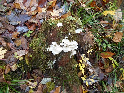 f0308898_17252162.jpg