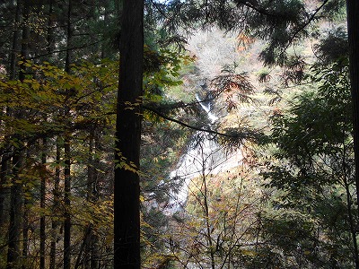 f0308898_17253433.jpg