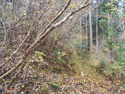 f0308898_17255077.jpg