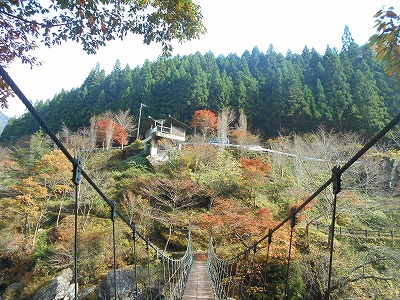 f0308898_17261944.jpg