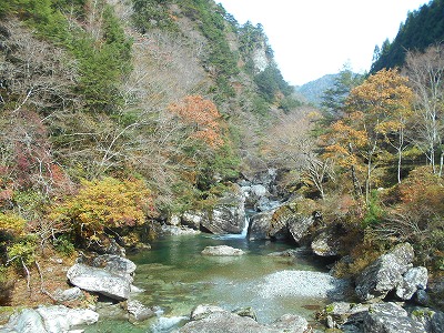 f0308898_17263462.jpg