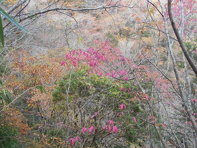 f0308898_172652.jpg