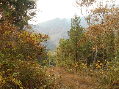 f0308898_17272435.jpg