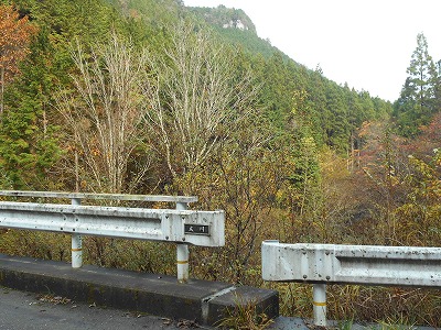f0308898_1729216.jpg