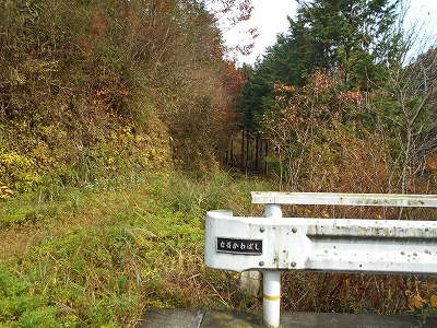 f0308898_17292973.jpg