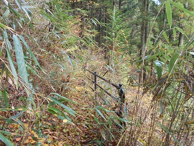 f0308898_17301973.jpg