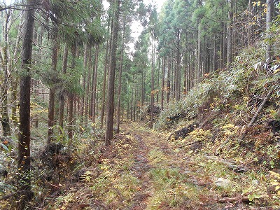 f0308898_17312455.jpg