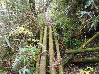 f0308898_1731290.jpg