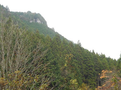f0308898_17322488.jpg