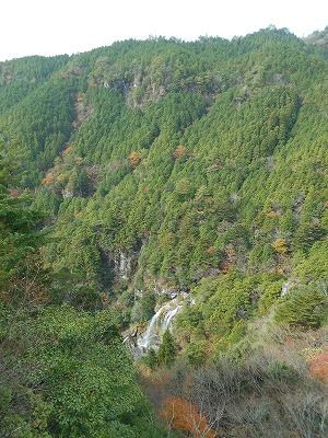 f0308898_17332569.jpg