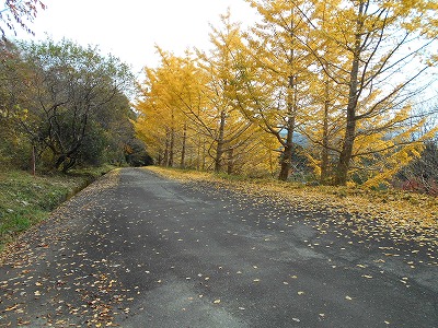 f0308898_17333956.jpg