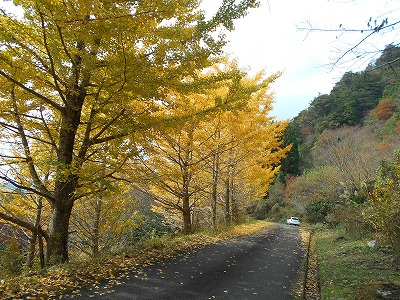 f0308898_17334722.jpg