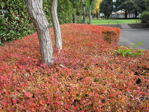 c0326000_10331817.jpg