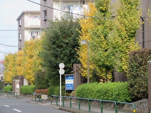 c0326000_10341950.jpg