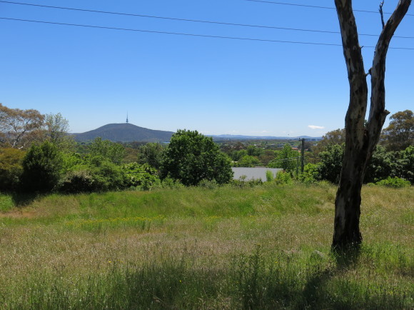 f0376101_14102837.jpg