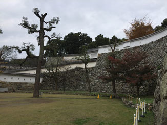 b0168303_08351139.jpg