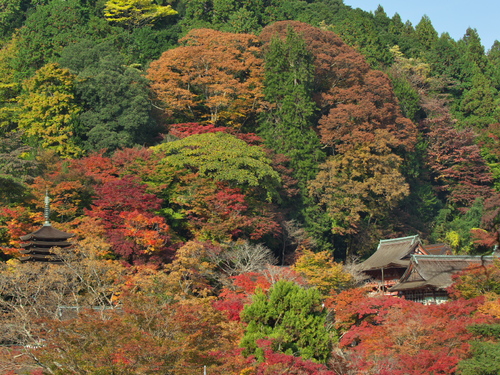 c0043403_212914100.jpg