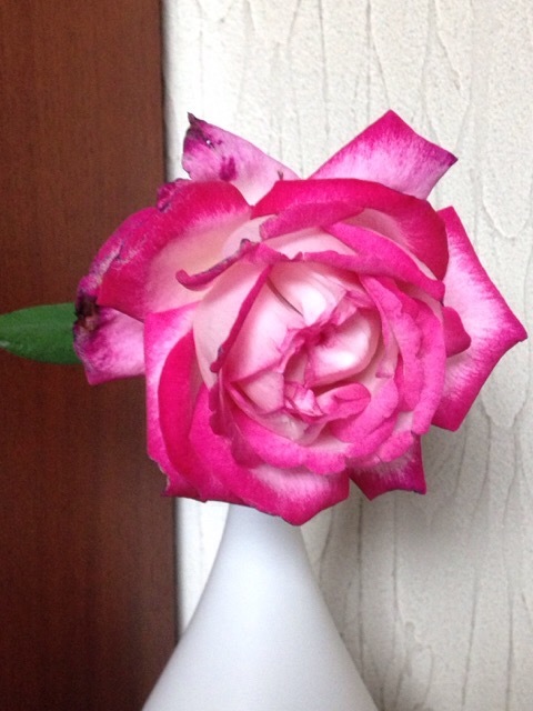 b0289206_15551990.jpg