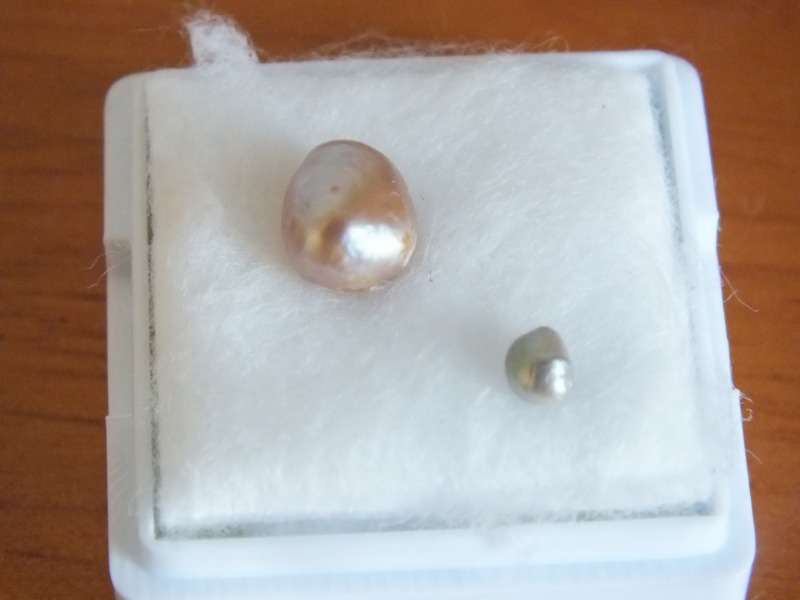 d0144806_1082263.jpg