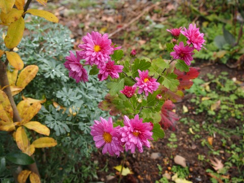 c0117007_2384071.jpg