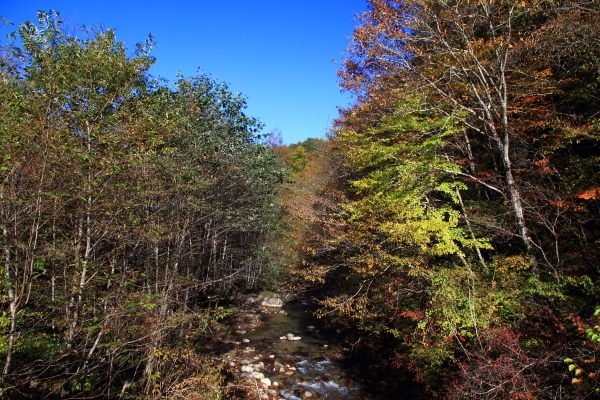 e0174008_17072838.jpg