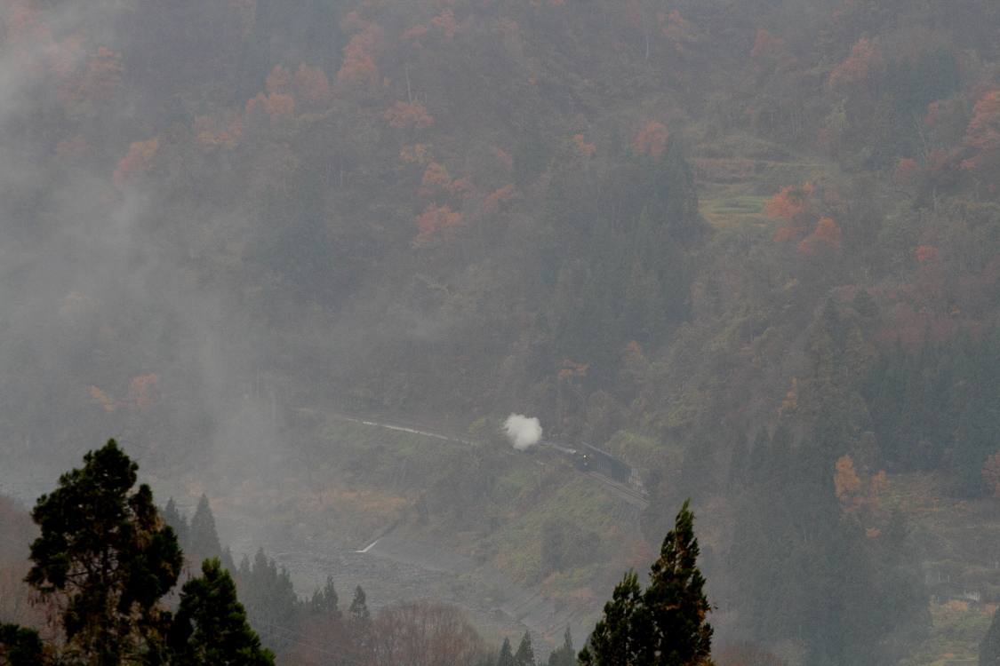 信濃川沿いの道に白煙を残して汽車が走る - 2016年晩秋・飯山線 - _b0190710_239262.jpg