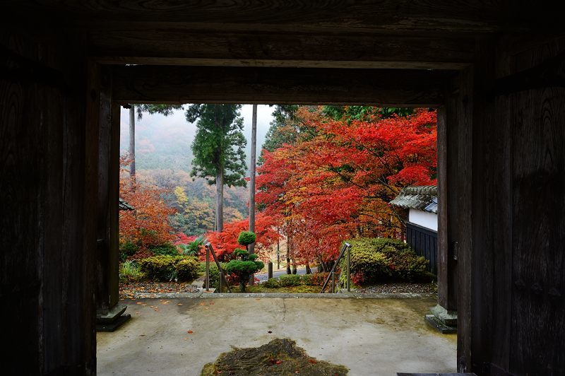 2016京都の紅葉＠須知　玉雲寺_f0032011_18394301.jpg