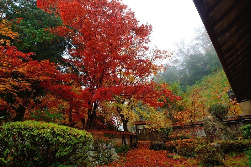 2016京都の紅葉＠須知　玉雲寺_f0032011_18394475.jpg