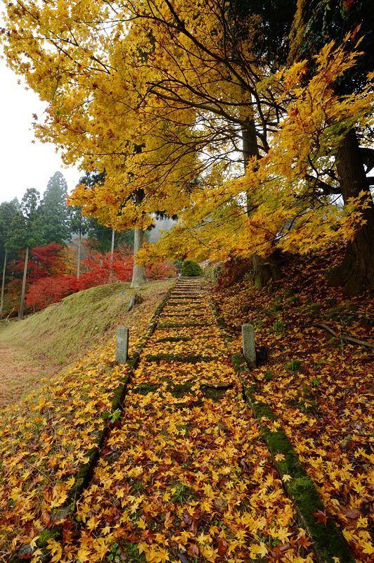 2016京都の紅葉＠須知　玉雲寺_f0032011_18394480.jpg