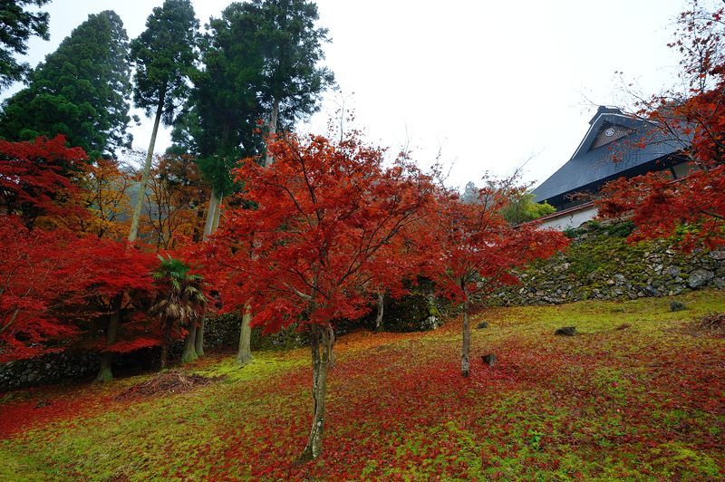 2016京都の紅葉＠須知　玉雲寺_f0032011_18394516.jpg