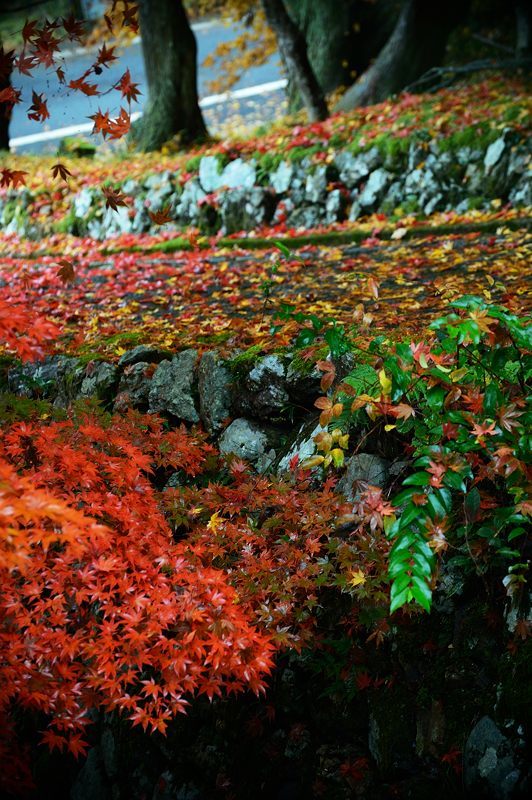 2016京都の紅葉＠須知　玉雲寺_f0032011_18395222.jpg