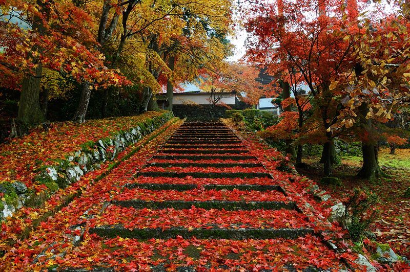 2016京都の紅葉＠須知　玉雲寺_f0032011_18395415.jpg