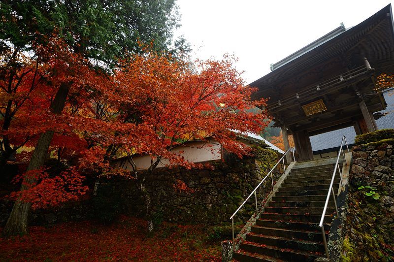 2016京都の紅葉＠須知　玉雲寺_f0032011_18395574.jpg