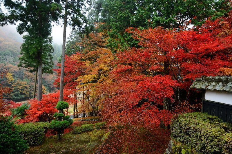 2016京都の紅葉＠須知　玉雲寺_f0032011_18395589.jpg