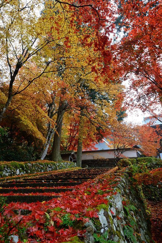 2016京都の紅葉＠須知　玉雲寺_f0032011_18453755.jpg