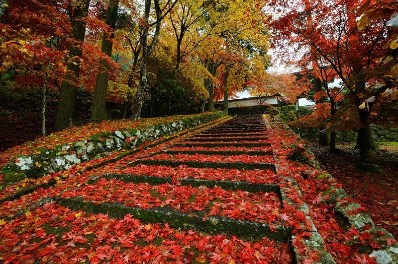 2016京都の紅葉＠須知　玉雲寺_f0032011_18454018.jpg