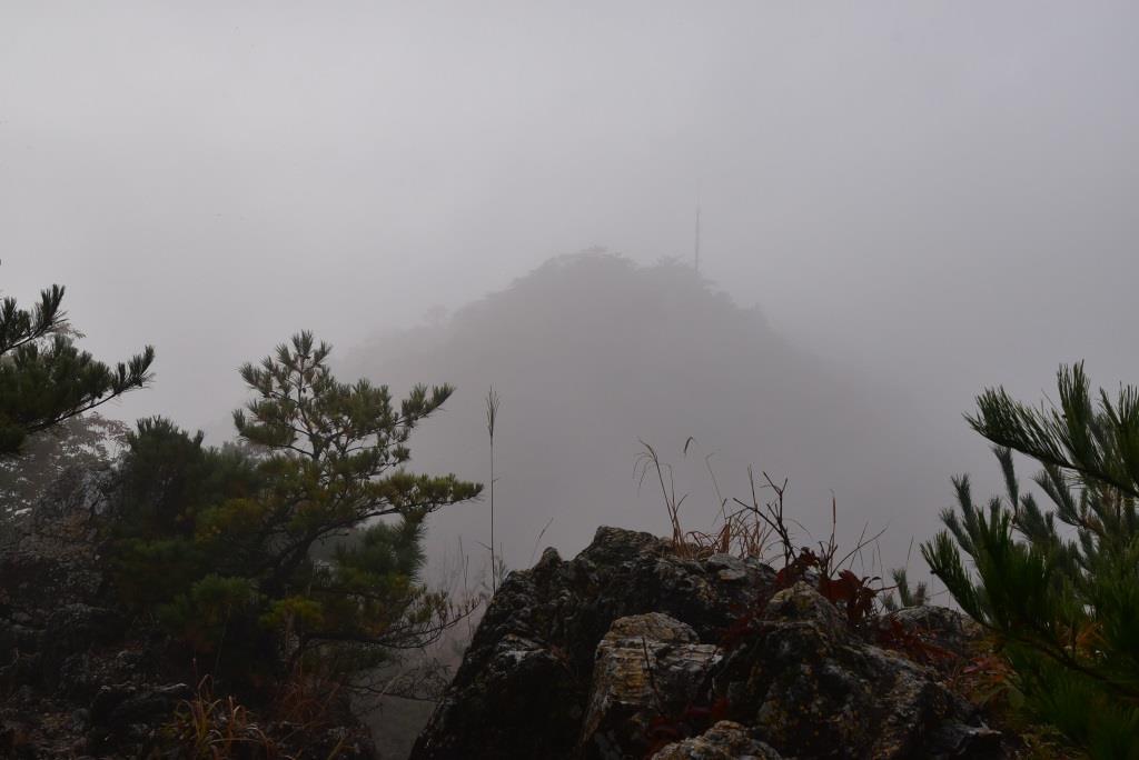 2016/11/20 織姫神社・もみじ谷～行道山・浄因寺_a0340812_18152034.jpg