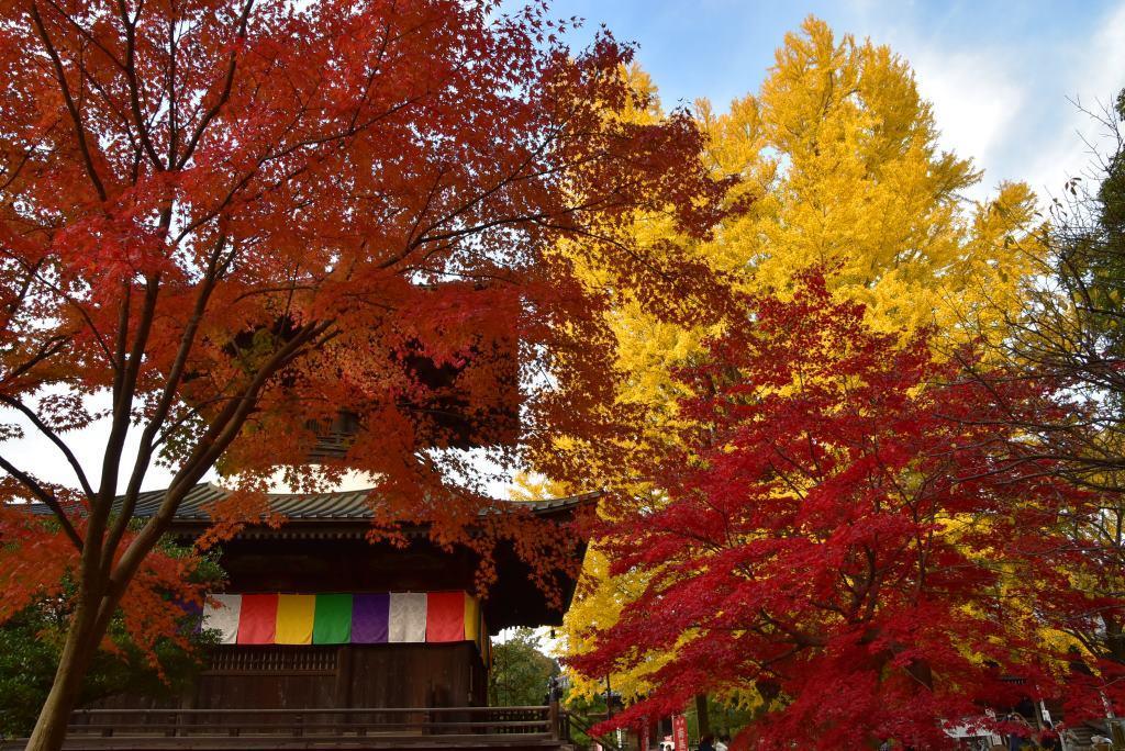 2016/11/20 織姫神社・もみじ谷～行道山・浄因寺_a0340812_18230617.jpg