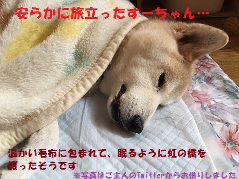 f0121712_10003000.jpg
